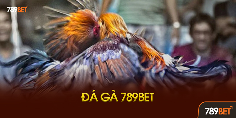 Sự Khác Biệt Giữa Đá Gà 789bet Và Đá Gà Truyền Thống