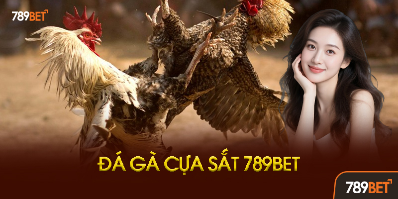 Đá Gà Cựa Sắt 789BET - Kịch Tính Đỉnh Cao, Cược Mạnh Ăn Lớn! 3 Lịch Thi Đấu Và Trường Gà Đá Gà Cựa Sắt 789BET