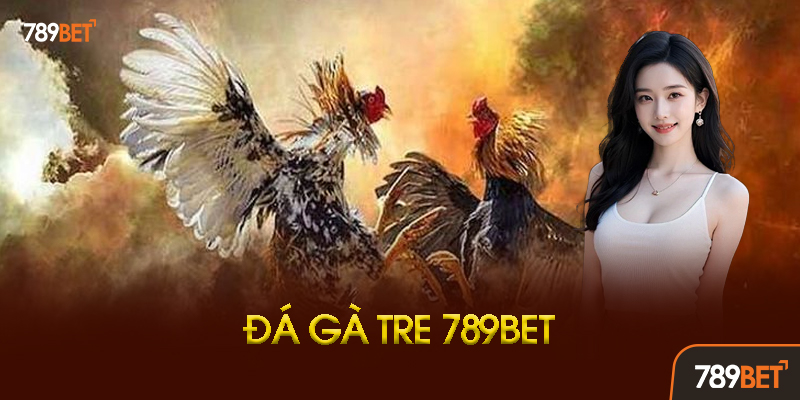 Đá Gà Tre 789BET - Truyền Thống Việt, Cược Thả Ga Ăn Tiền Thật! 1 Đá Gà Tre Là Gì? Tại Sao Lại Được Ưa Chuộng?