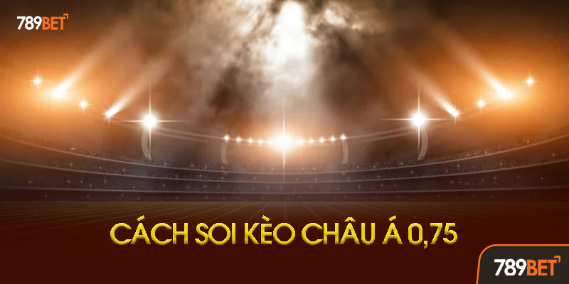 Cách Tính Tiền Khi Đội Chấp Thắng Đúng 1 Bàn (Quan Trọng Nhất)