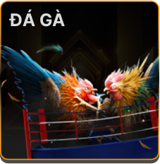Đá gà