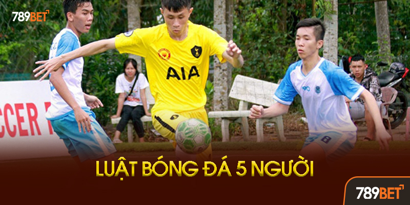 Luật phạm lỗi và hệ thống tích lũy lỗi độc đáo